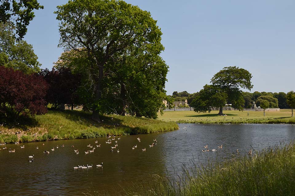 Development Services